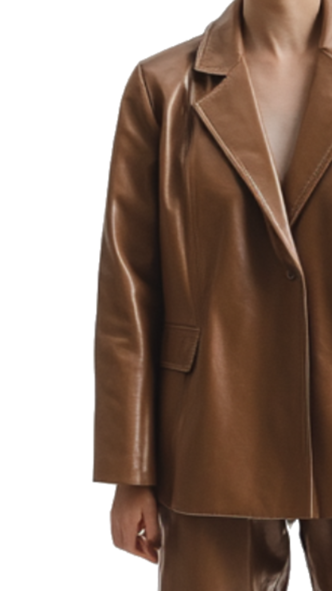 Sarah Brown Leather Jacket and Pant